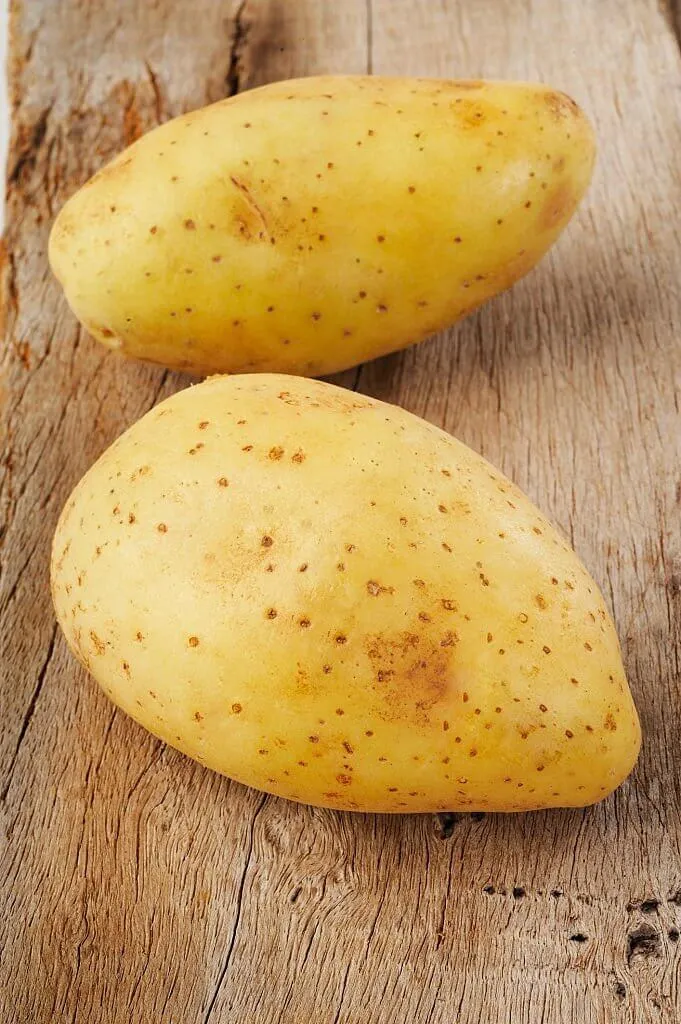 Yellow Finn Potatoes
