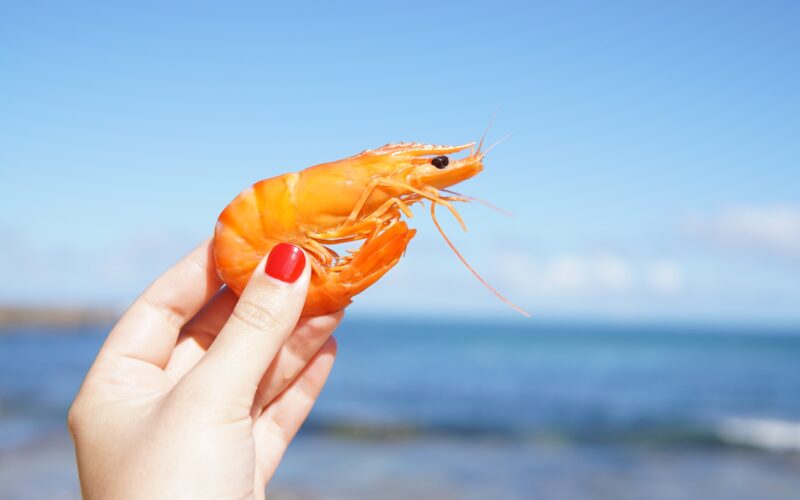 Is Shrimp Poop Safe to Eat?