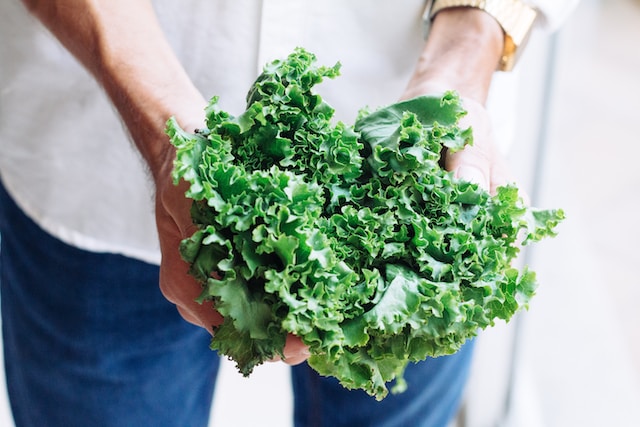 How Much Does Kale Shrink When Cooked? – Guide